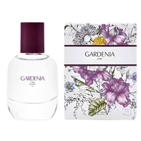 gardenia zara|GARDENIA EDP + ORCHID EDP 2 X 30 ML (1,0 FL. OZ).